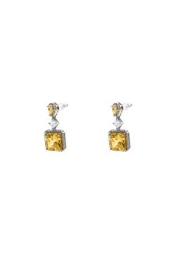 Remi Amber Embellished Earrings -Alamour The Label US 493