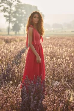 Cellina Maxi Dress -Alamour The Label US 7 96f2dbf6 2731 405f ab3d 33682fa3976d